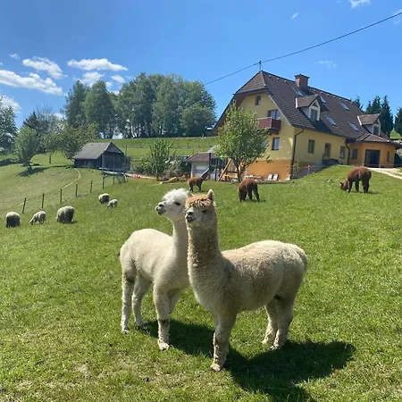 Biohof Kroisleitner Sankt Jakob im Walde Exterior photo