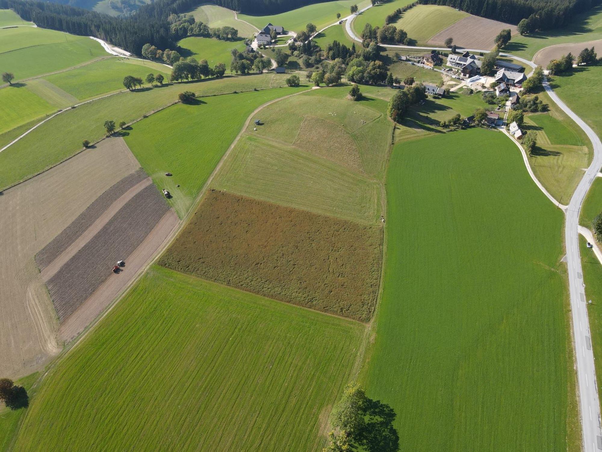 Biohof Kroisleitner * Sankt Jakob im Walde